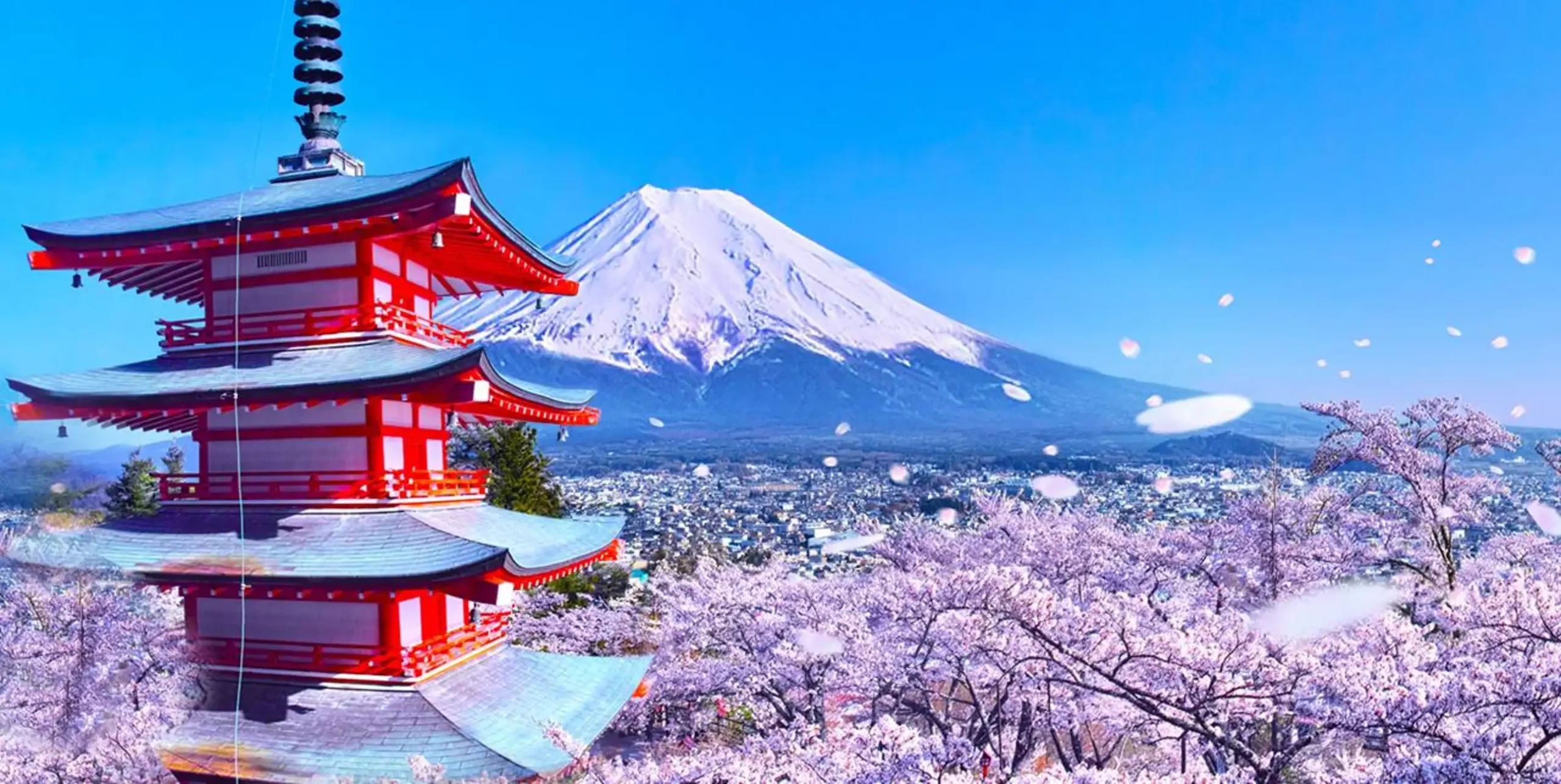 5 Unique Things to Do in Tokyo