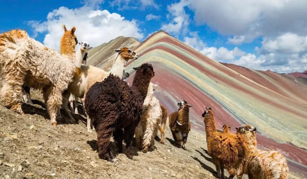 Rainbow Mountain